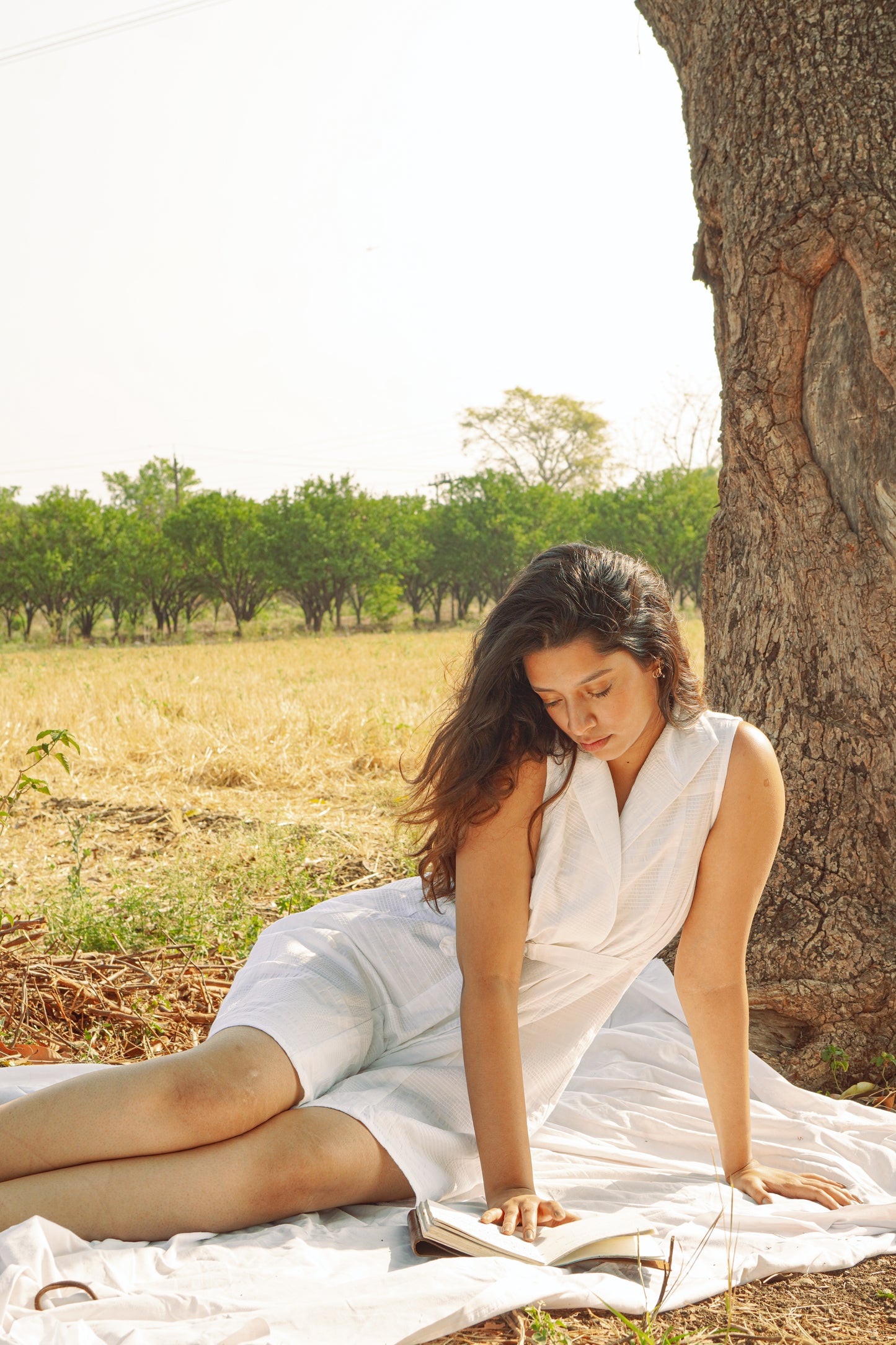 The Safeyd Dress